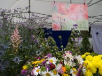 z 2017-07-08-10004-006  Sommerfest 2017 in der Caroline-von-Heydebrand Schule, Berlin Zehlendorf