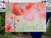 z 2017-07-08-10004-007  Sommerfest 2017 in der Caroline-von-Heydebrand Schule, Berlin Zehlendorf