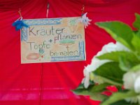 z 2017-07-08-10004-049  Sommerfest 2017 in der Caroline-von-Heydebrand Schule, Berlin Zehlendorf