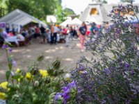 z 2017-07-08-10004-117  Sommerfest 2017 in der Caroline-von-Heydebrand Schule, Berlin Zehlendorf
