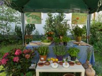 z 2017-07-08-10004-130  Sommerfest 2017 in der Caroline-von-Heydebrand Schule, Berlin Zehlendorf