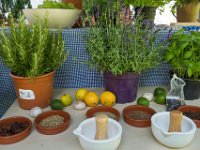 z 2017-07-08-10004-131  Sommerfest 2017 in der Caroline-von-Heydebrand Schule, Berlin Zehlendorf