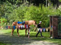 z 2017-07-08-10004-212  Sommerfest 2017 in der Caroline-von-Heydebrand Schule, Berlin Zehlendorf