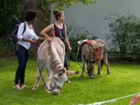 z 2017-07-08-10004-218  Sommerfest 2017 in der Caroline-von-Heydebrand Schule, Berlin Zehlendorf