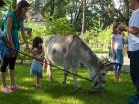 z 2017-07-08-10004-223  Sommerfest 2017 in der Caroline-von-Heydebrand Schule, Berlin Zehlendorf