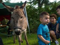 z 2017-07-08-10004-224  Sommerfest 2017 in der Caroline-von-Heydebrand Schule, Berlin Zehlendorf