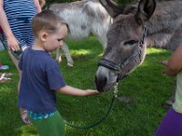 z 2017-07-08-10004-240  Sommerfest 2017 in der Caroline-von-Heydebrand Schule, Berlin Zehlendorf